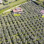 In Einem Spektakulaeren Olivenhain In Einer Ruhig By Interhome Semesterbostad Bardolino