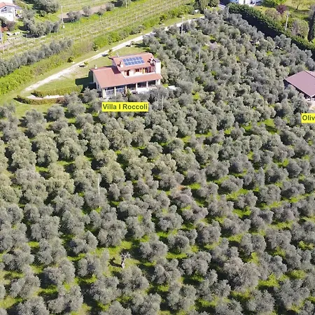 In Einem Spektakulaeren Olivenhain In Einer Ruhig By Interhome Holiday home Bardolino