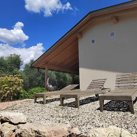 In Einem Spektakulaeren Olivenhain In Einer Ruhig By Interhome Holiday home Bardolino