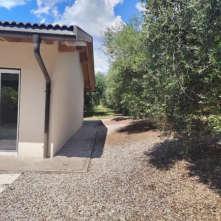 In Einem Spektakulaeren Olivenhain In Einer Ruhig By Interhome * Bardolino